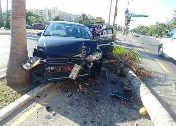 IMPRUDENTE MUJER DERRIBA PALMERAS CON SU COCHE EN ZH