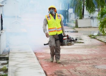 LA SESA CERRÓ EL 2020 CON ACCIONES FORTALECIDAS EN LA VIGILANCIA Y CONTROL DEL DENGUE, ZIKA Y CHIKUNGUNYA
