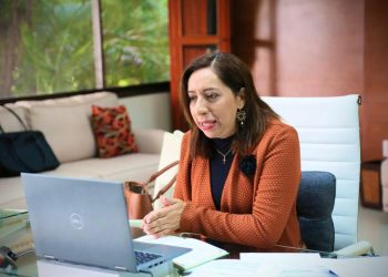 DETALLA TITULAR DE LA SEQ PORMENORES DEL REINICIO DE LAS CLASES A DISTANCIA A PARTIR DE ESTE LUNES