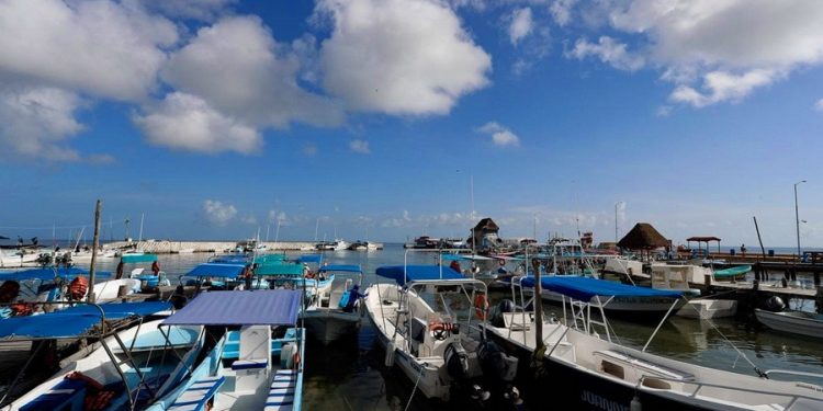 REPORTAN EN HOLBOX AVANCES EN LA GESTIÓN DE PRODUCTOS DE UN SOLO USO