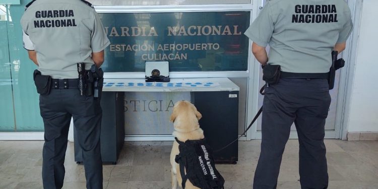 INCAUTA GUARDIA NACIONAL DOS MIL 500 PASTILLAS DE APARENTE FENTANILO OCULTAS EN REPRODUCTOR DE DVD