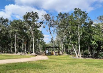 YOKOL KAAB Y CORPORATIVO MILENIUM DONAN TRES LOTES A BENEFICIO DE LA CATEDRAL DE QUINTANA ROO