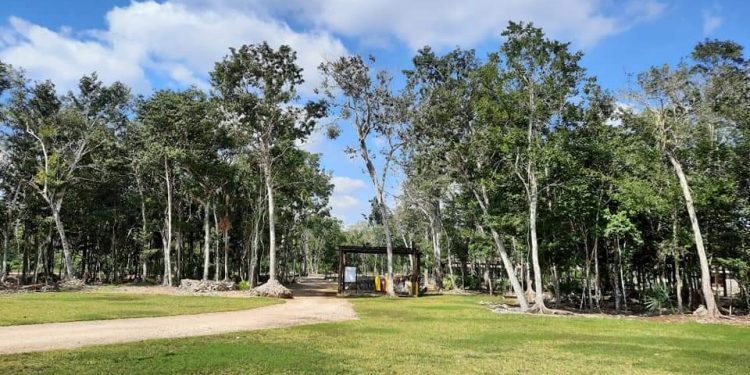 YOKOL KAAB Y CORPORATIVO MILENIUM DONAN TRES LOTES A BENEFICIO DE LA CATEDRAL DE QUINTANA ROO
