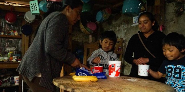 EL RETO DE EDUCAR LOS HIJOS A DISTANCIA EN MÉXICO SIN SABER LEER NI ESCRIBIR