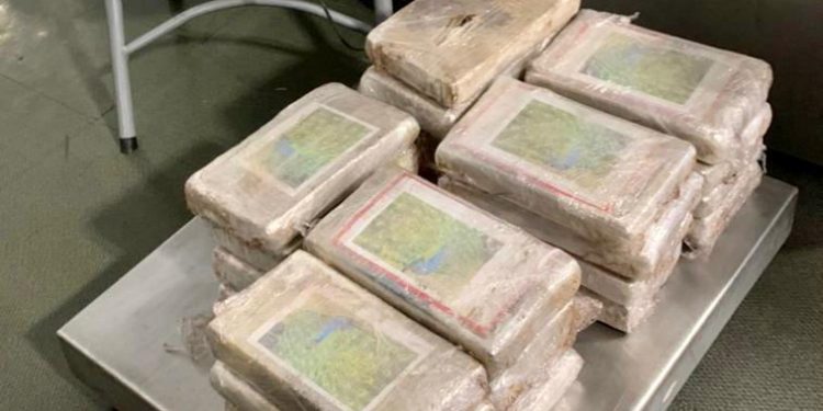 ADUANAS, MARINA Y GUARDIA NACIONAL DECOMISAN 29 KILOS DE COCAÍNA EN EL AICM PROVENIENTES DE COLOMBIA