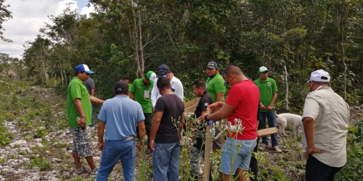 RESPIRAN TRANQUILIDAD HABITANTES DE “LOS FAISANES”