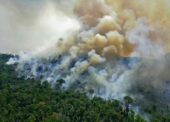 LA AMAZONÍA BRASILEÑA PERDIÓ UNOS 8.500 KILÓMETROS CUADRADOS DE SELVA EN 2020