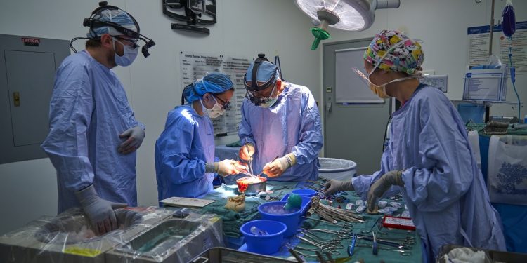 TRASPLANTE RENAL, UNA ESPERANZA REAL DE VIDA