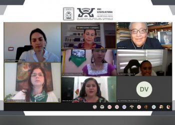 INICIAN FOROS VIRTUALES PARA DESPENALIZACIÓN DE ABORTO