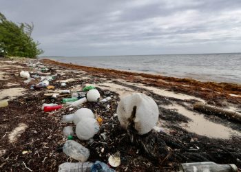 INICIÓ EN QUINTANA ROO CAPACITACIÓN PARA DISMINUIR PLÁSTICOS INNECESARIOS EN EL SECTOR TURÍSTICO Y HOTELERO