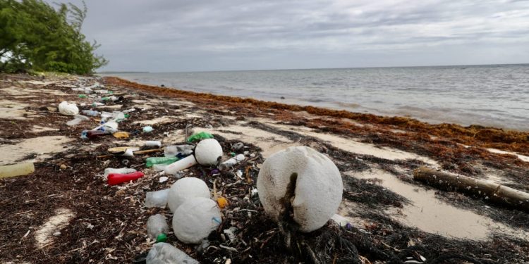 INICIÓ EN QUINTANA ROO CAPACITACIÓN PARA DISMINUIR PLÁSTICOS INNECESARIOS EN EL SECTOR TURÍSTICO Y HOTELERO