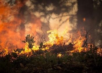 INSTALAN COMITÉS DE ATENCIÓN PARA EL FUEGO