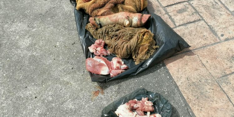 TABLAJEROS “ARROJAN” CARNE PUTREFACTA EN EL PALACIO MUNICIPAL DE OTHÓN P. BLANCO