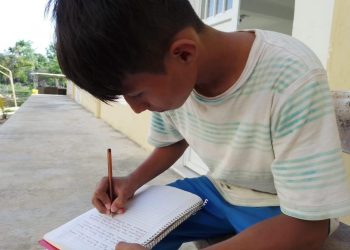 11 ESCUELAS PARA PARTICULARES SE HAN DADO DE BAJA EN PANDEMIA