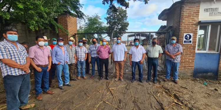 SIGUEN PARALIZADAS ACTIVIDADES CAÑERAS EN EL ESTADO