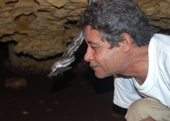 CUEVA DE LAS SERPIENTES COLGANTES DE KANTEMÓ DESTACA A NIVEL INTERNACIONAL