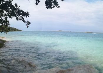 NIEGAN AUTORIDADES DE BACALAR QUE SE TENGA AFECTACIONES GRAVES EN COLORES DE LA LAGUNA