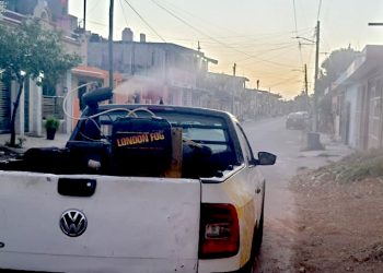 LA LIMPIEZA DEL PATIO Y EL TECHO DE LAS VIVIENDAS, FUNDAMENTAL PARA ELIMINAR LOS CRIADEROS DE MOSCOS
