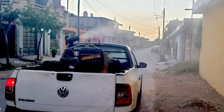 LA LIMPIEZA DEL PATIO Y EL TECHO DE LAS VIVIENDAS, FUNDAMENTAL PARA ELIMINAR LOS CRIADEROS DE MOSCOS