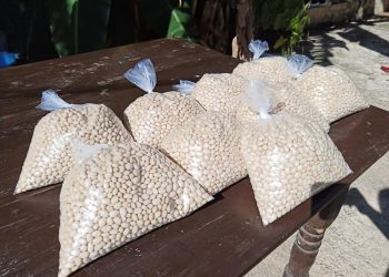 RESCATAN PRODUCCIÓN DE IBES EN ZONA MAYA
