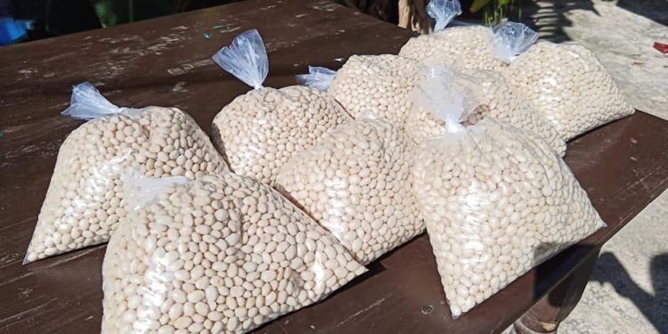 RESCATAN PRODUCCIÓN DE IBES EN ZONA MAYA