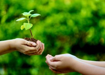 ADMINISTRACIÓN DE CJ COMPROMETIDA CON LA PROTECCIÓN DEL MEDIO AMBIENTE