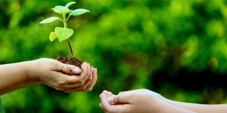 ADMINISTRACIÓN DE CJ COMPROMETIDA CON LA PROTECCIÓN DEL MEDIO AMBIENTE