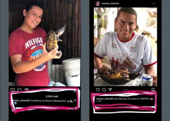 ADVIERTE PROFEPA  SANCIÓN PARA EL INFLUENCER  TABASQUEÑO «CHAVOLIN» POR DAR PROMOCIÓN A CONSUMIR ESPECIES EN PELIGRO DE EXTINCIÓN