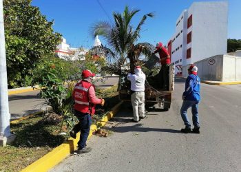MANTIENE PARQUES Y JARDINES ESPACIOS VERDES EN ISLA MUJERES