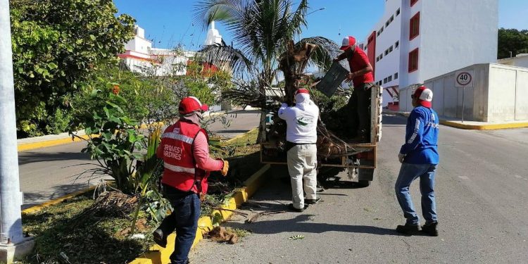 MANTIENE PARQUES Y JARDINES ESPACIOS VERDES EN ISLA MUJERES