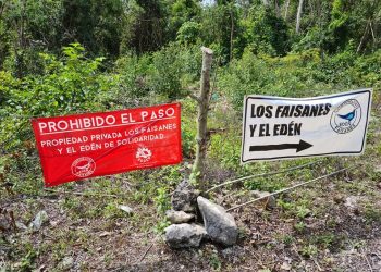COMUNIDAD “LOS FAISANES” Y “EL EDÉN” CONTINÚAN SU DESARROLLO EN SOLIDARIDAD