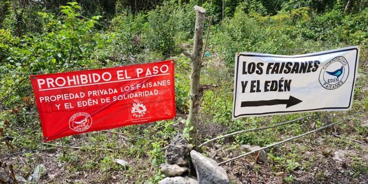 COMUNIDAD “LOS FAISANES” Y “EL EDÉN” CONTINÚAN SU DESARROLLO EN SOLIDARIDAD