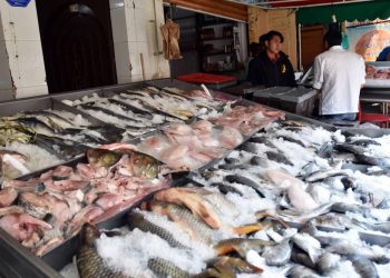 REGISTRAN COMERCIANTES TABASQUEÑOS DE PESCADOS Y MARISCOS LEVE REPUNTE EN VENTAS POR INICIO DE CUARESMA