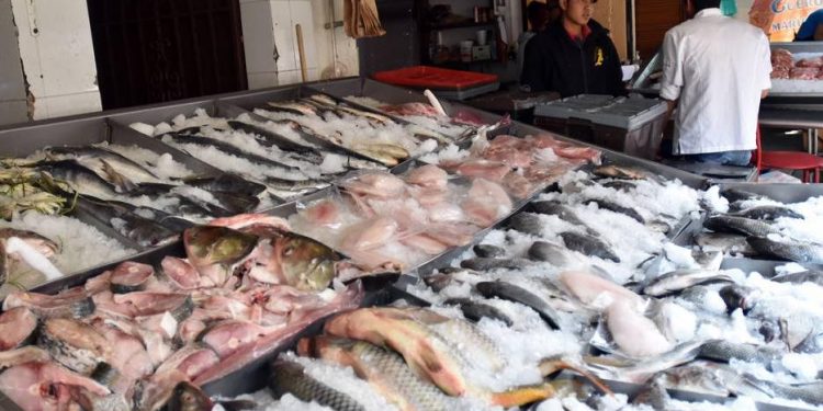 REGISTRAN COMERCIANTES TABASQUEÑOS DE PESCADOS Y MARISCOS LEVE REPUNTE EN VENTAS POR INICIO DE CUARESMA