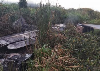 RESTOS DE UNA NARCOAVIONETA FUERON HALLADOS EN LA ZONA SUR DE QROO