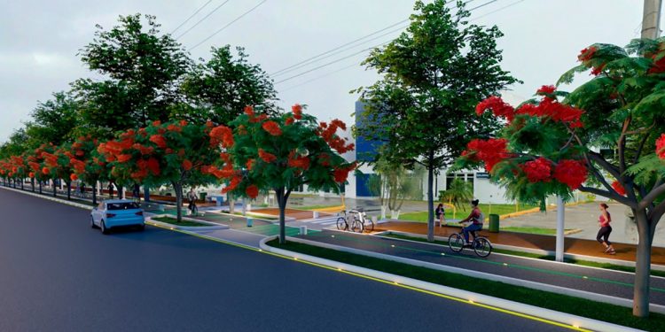 EN MARCHA PROYECTO DE CICLOVÍA EN AVENIDA BONAMPAK