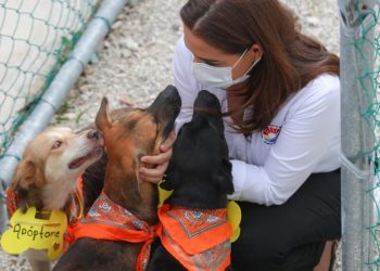 REALIZA GOBIERNO DE BENITO JUÁREZ SEGUNDA CAMPAÑA DE ADOPCIÓN CANINA