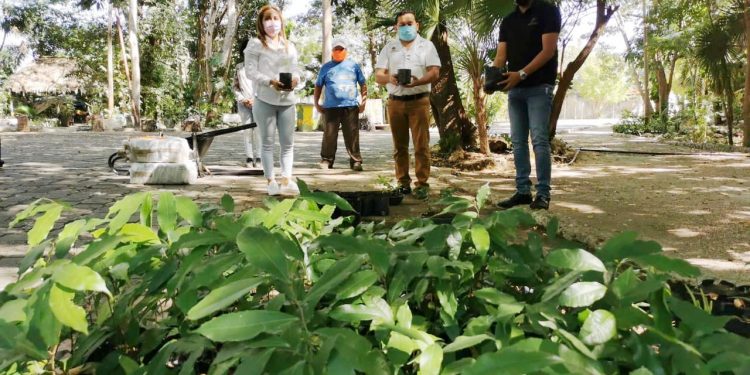 QUINTANA ROO INICIA LA CAMPAÑA SEMBRANDO CONCIENCIAS 2021
