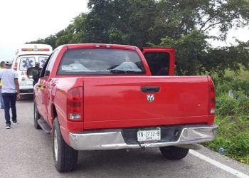 MUERE HOMBRE TRAS ATAQUE DE ABEJAS