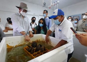 IMPULSA TABASCO PROYECTOS PARA DETONAR LA ACTIVIDAD OSTRÍCOLA