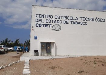 MANTIENE GOBIERNO DE TABASCO PERMANENTE APOYO A PRODUCTORES OSTRÍCOLAS
