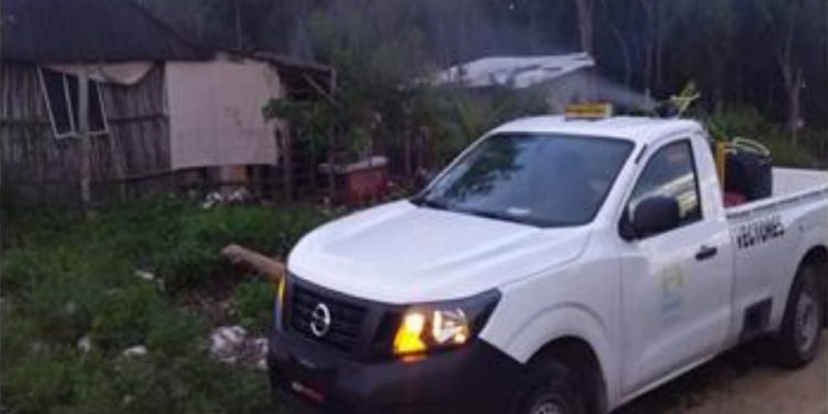 AYUNTAMIENTO DE TULUM REALIZA CONTROL LARVARIO PARA PREVENIR ENFERMEDADES