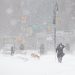 UN GRAN TEMPORAL CUBRE DE NIEVE NUEVA YORK Y TODO EL NORESTE DE EE.UU.