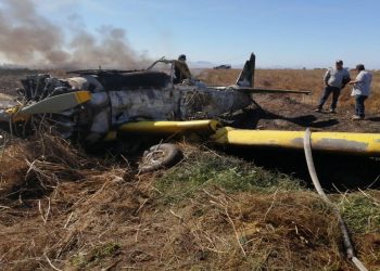AVIONETA CAE Y SE INCENDIA EN SINALOA