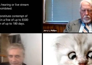 ABOGADO ASISTE AUDIENCIA VIRTUAL CON FILTRO DE GATITO