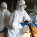 RUSIA DETECTA PRIMEROS CASOS DE GRIPE AVIAR H5N8 EN HUMANOS