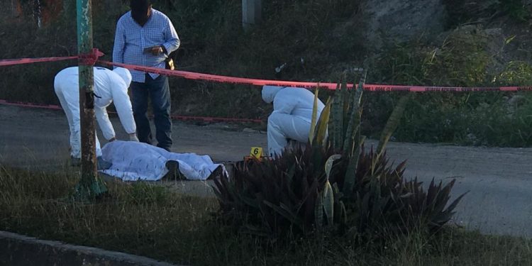 UN HOMBRE MURIÓ TRAS SER ARROLLADO OTHÓN P. BLANCO