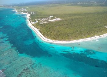 ASEGURA AMLO QUE PLAYAS DE QUINTANA ROO NO TIENEN SARGAZO