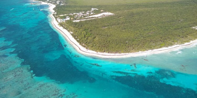 ASEGURA AMLO QUE PLAYAS DE QUINTANA ROO NO TIENEN SARGAZO