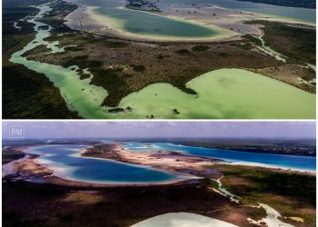 NO REQUIERE DESAZOLVE LAGUNA DE BACALAR